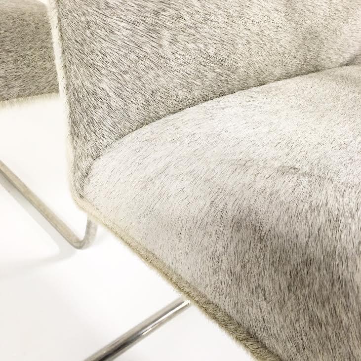 Brno Style Chairs in Brazilian Cowhide