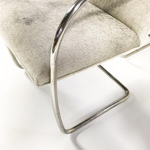 Brno Style Chairs in Brazilian Cowhide
