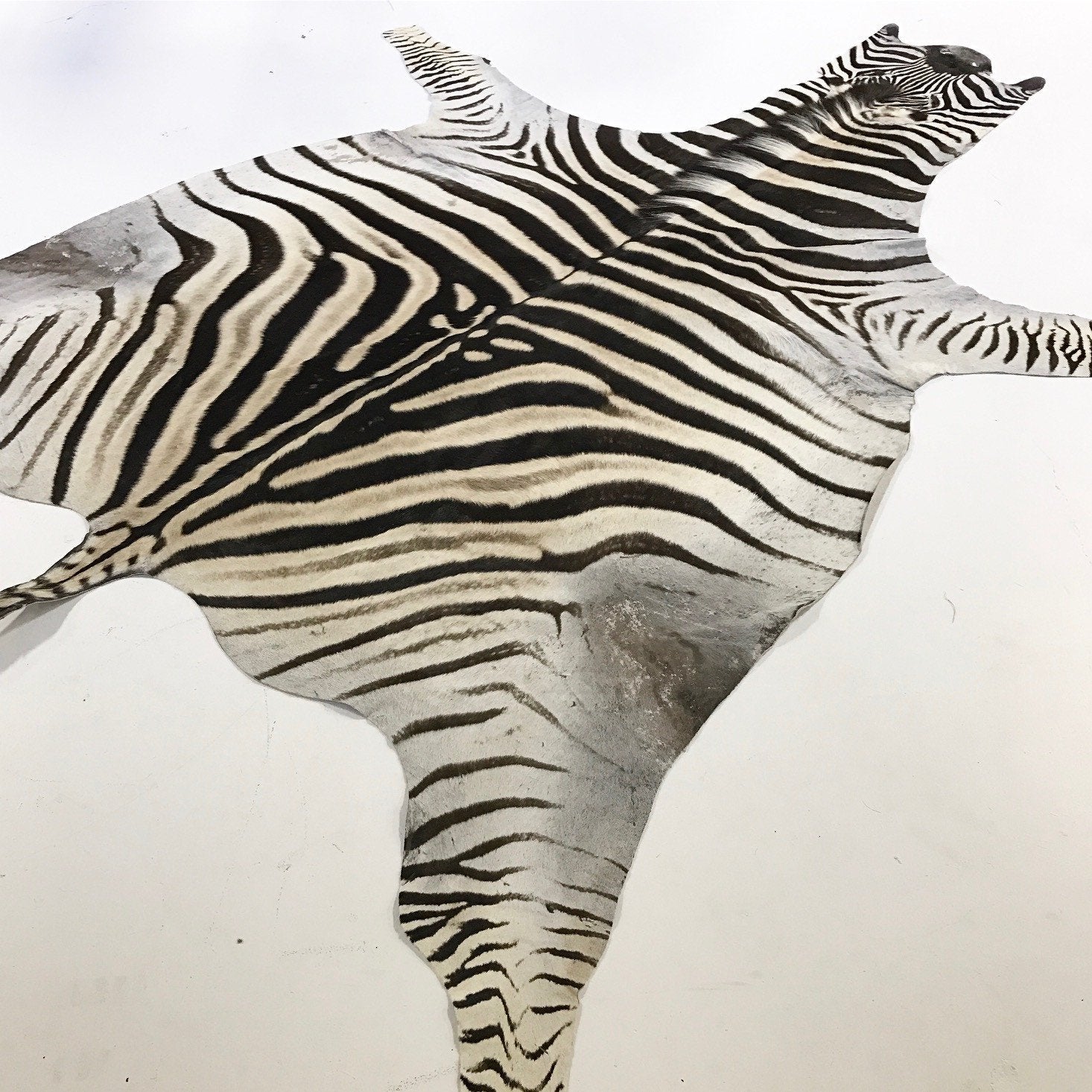 ZEBRA HIDE RUG - Sitka