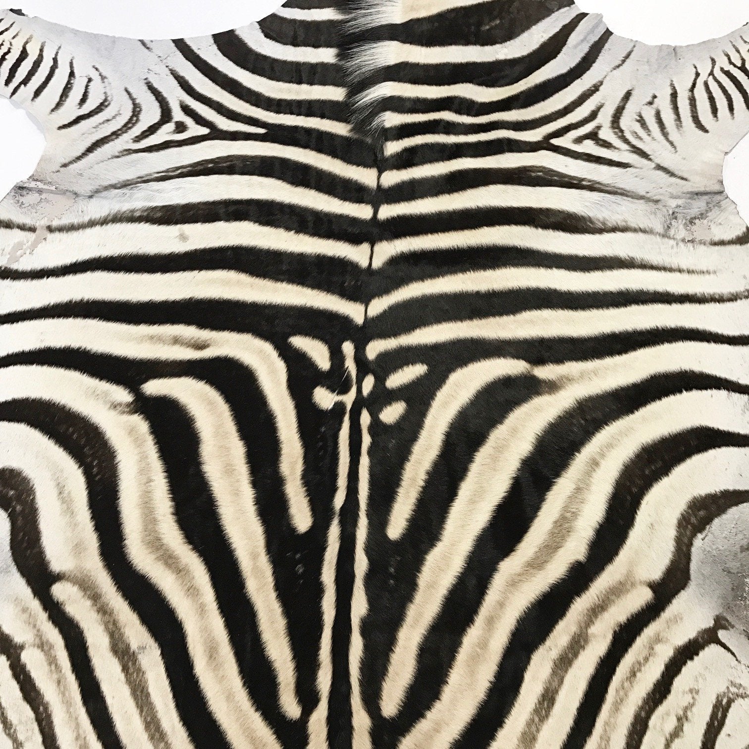 ZEBRA HIDE RUG - Sitka