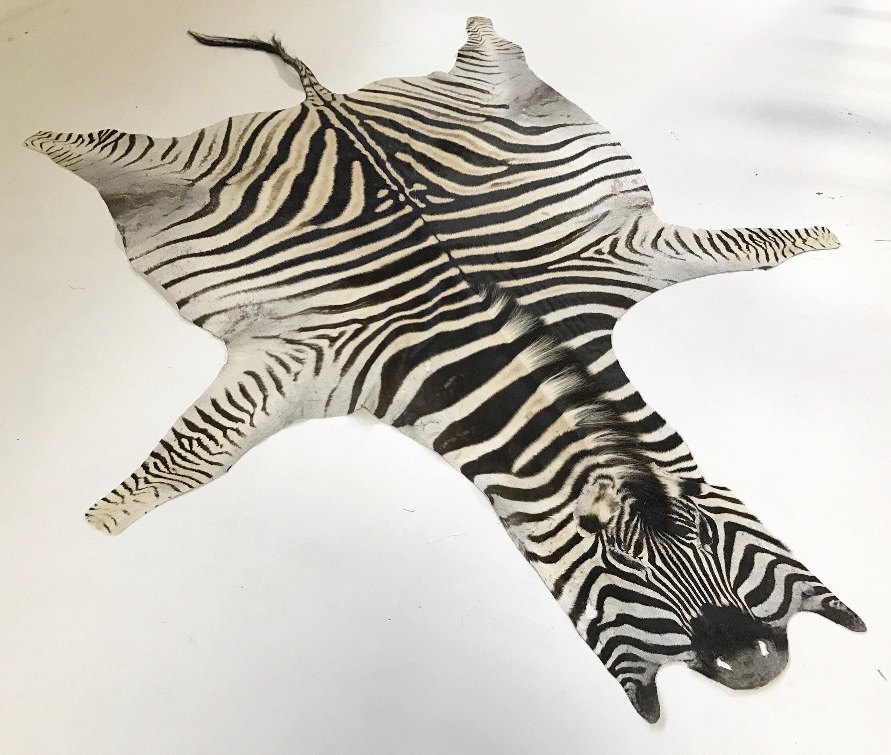 ZEBRA HIDE RUG - Sitka