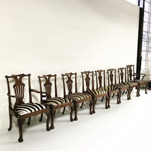 George II Walnut Dining Chairs in South African Zebra Hide - Set of 8