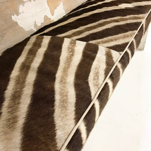 EARLY CHURCH PEW BENCH with Zebra Hide Cushion