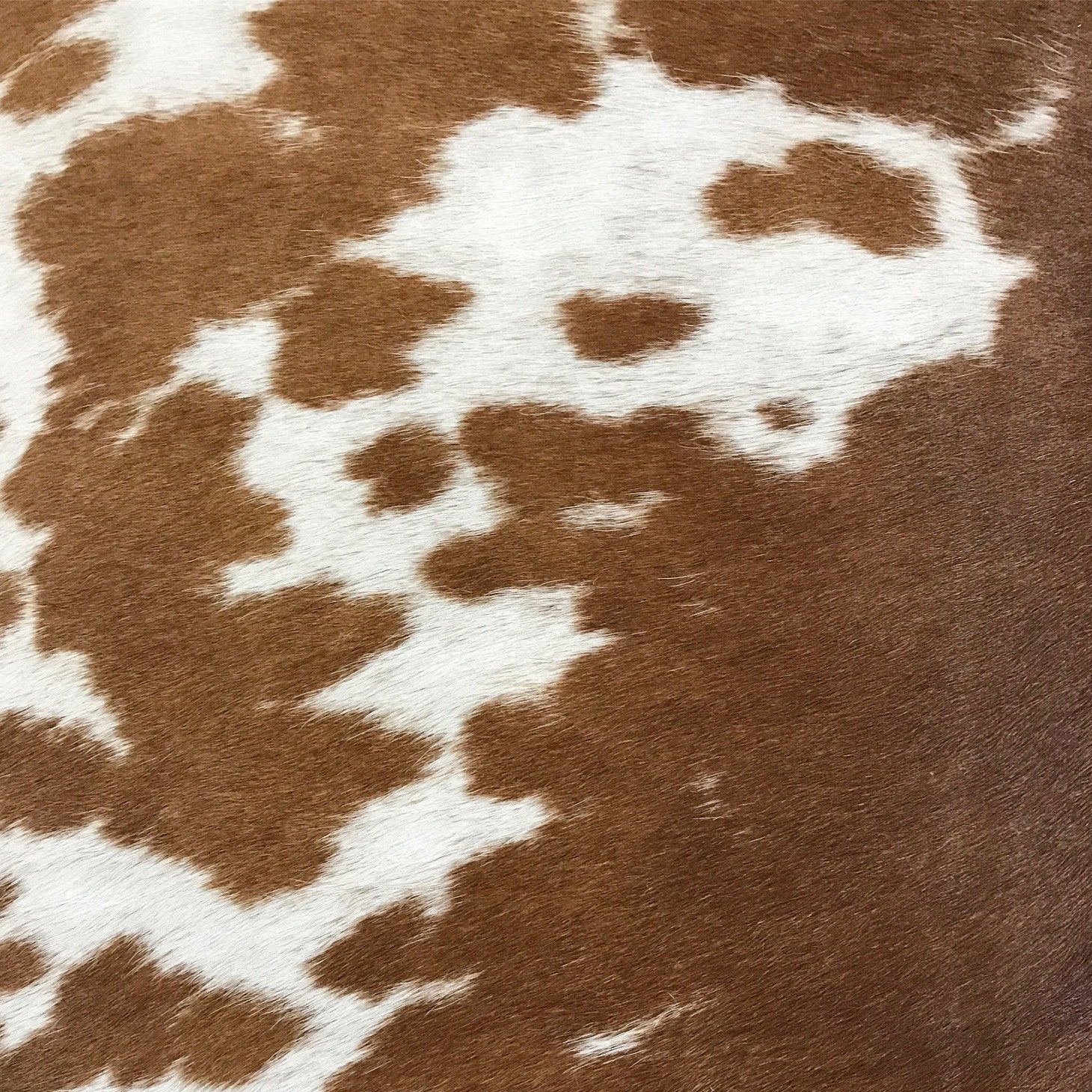 VINTAGE CHINESE BENCH WITH DOUBLE-SIDED CARVING AND BROWN AND WHITE COWHIDE CUSHION NO.19