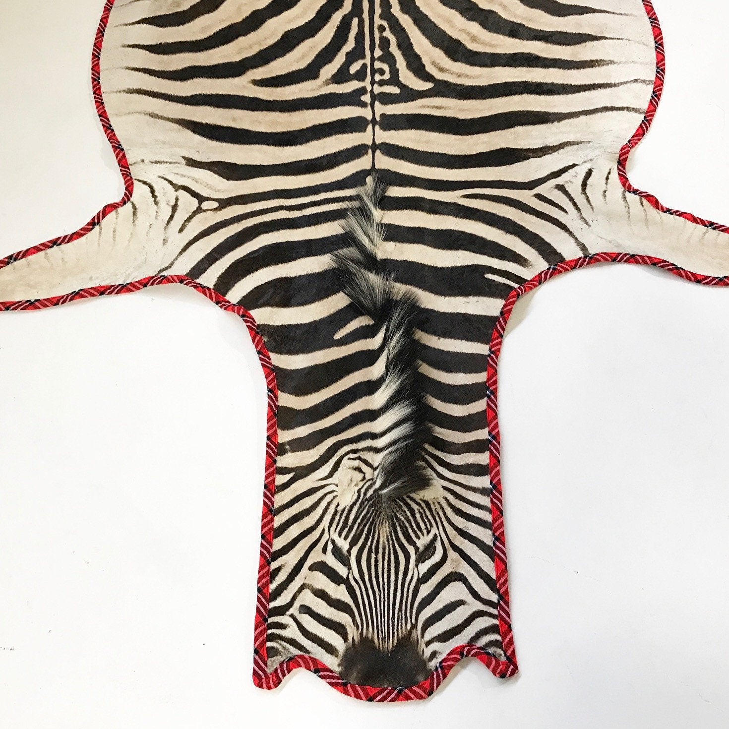 Zebra Hide Rug Trimmed in Maasai Shuka