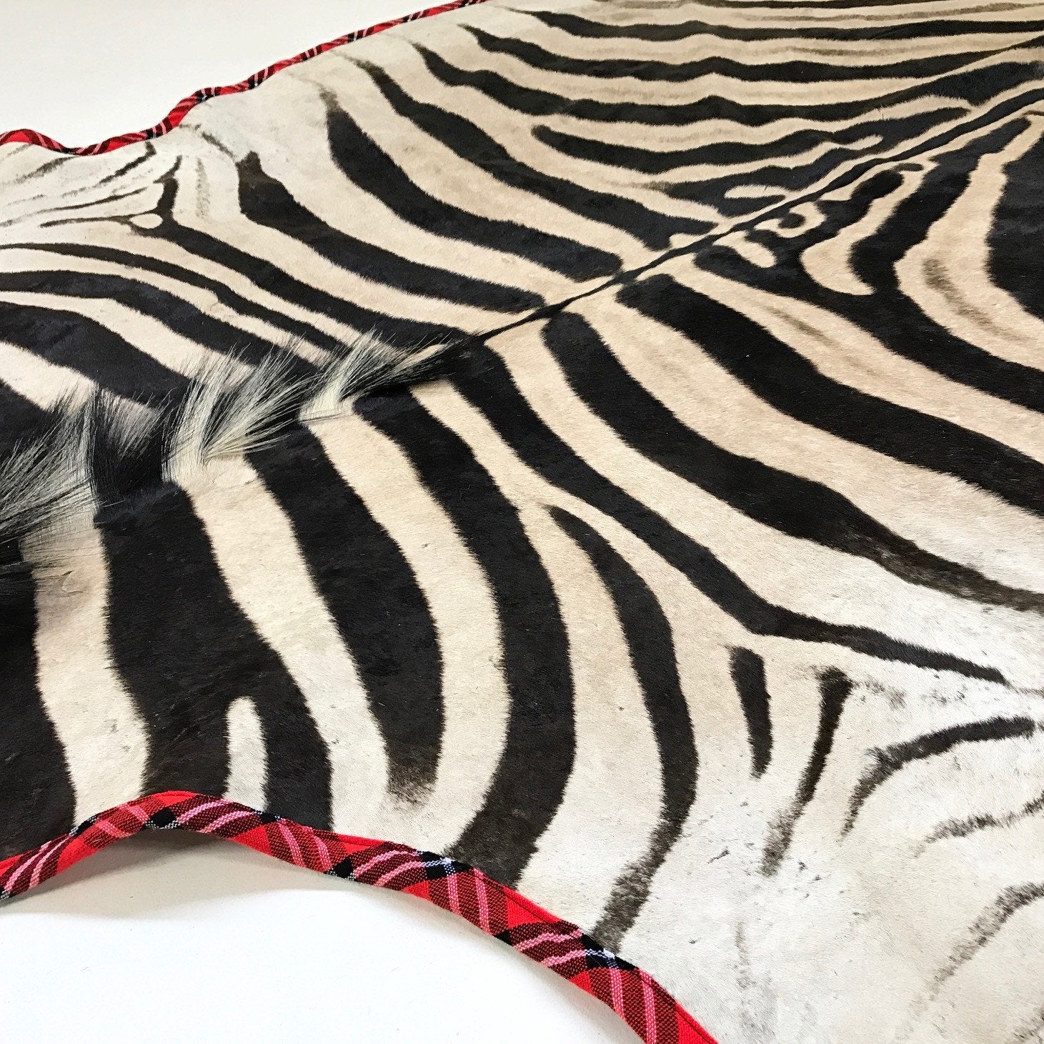 Zebra Hide Rug Trimmed in Maasai Shuka