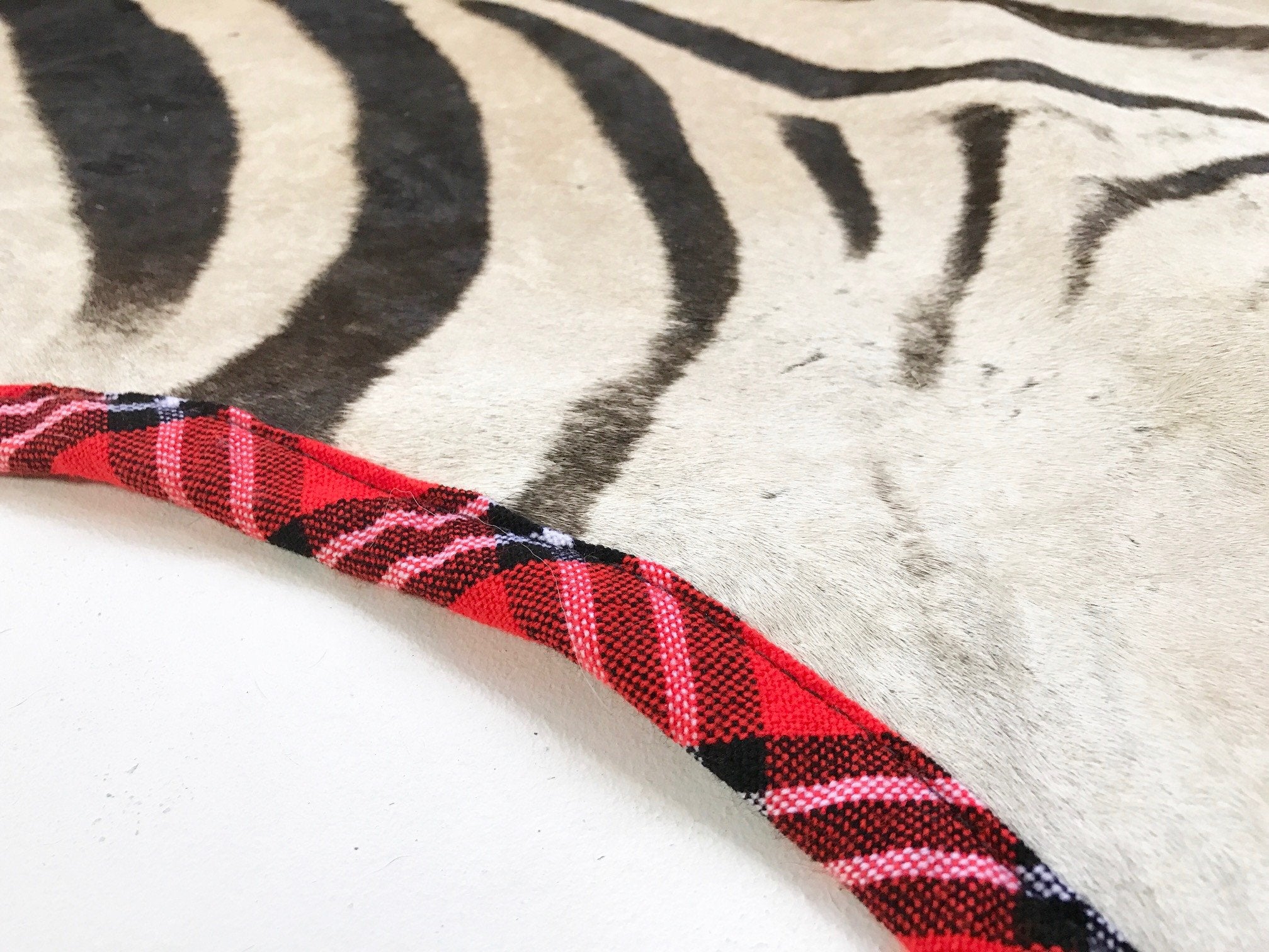 Zebra Hide Rug Trimmed in Maasai Shuka