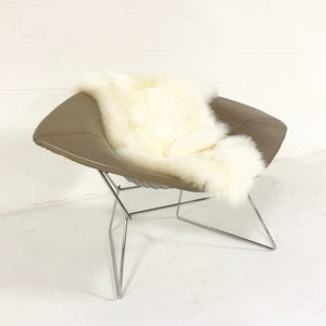 Harry Bertoia for Knoll Diamond Chair with Leather Cover & Sheepskin