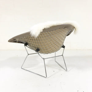 Harry Bertoia for Knoll Diamond Chair with Leather Cover & Sheepskin