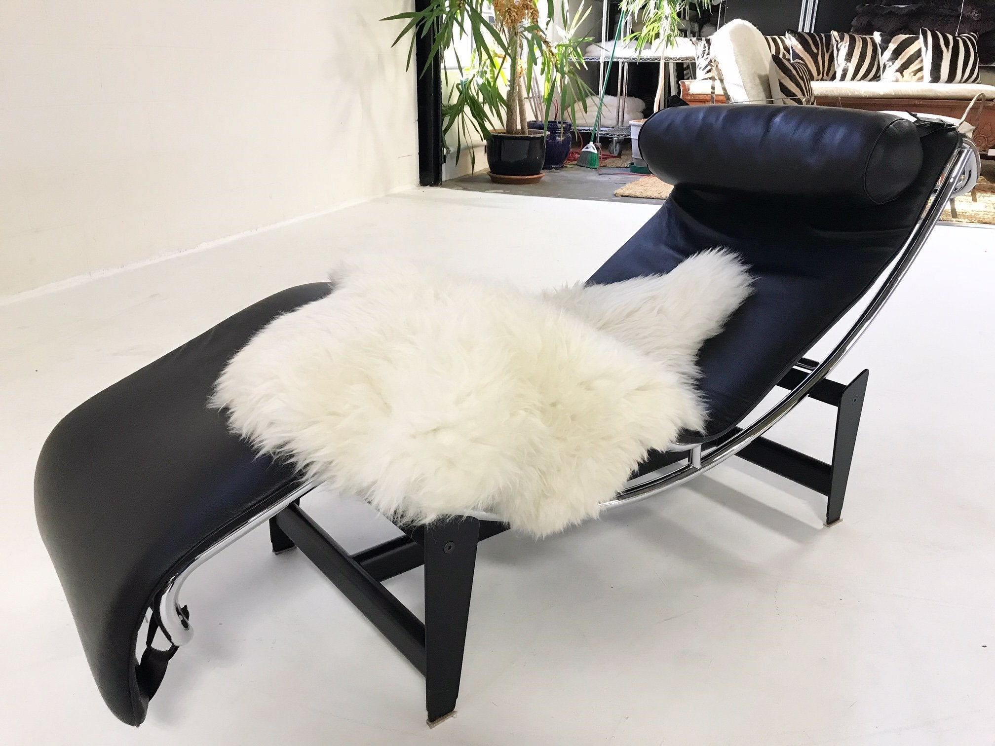 Pierre Jeanneret, Charlotte Perriand, and Le Corbusier for Cassina LC4 Chaise Lounge Chair with Brazilian Sheepskin Throw