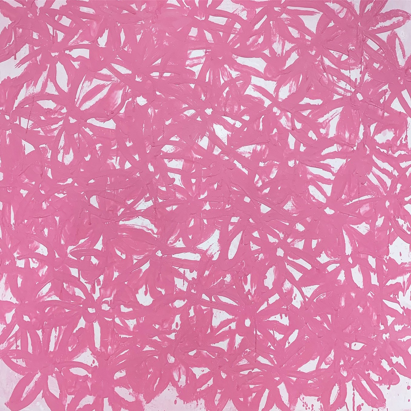 John O'Hara. Daisies, Pink. 33.5x33.5"