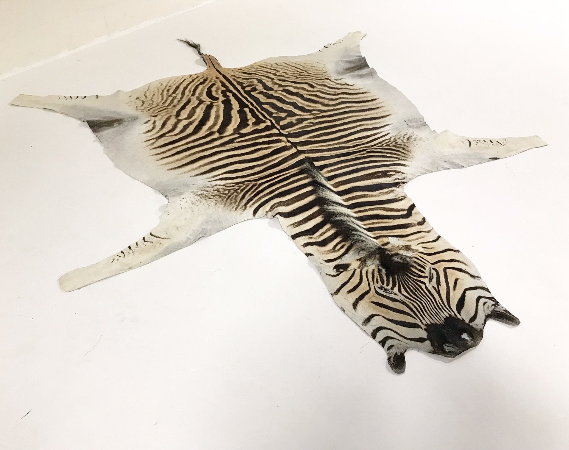 ZEBRA HIDE RUG - Harris