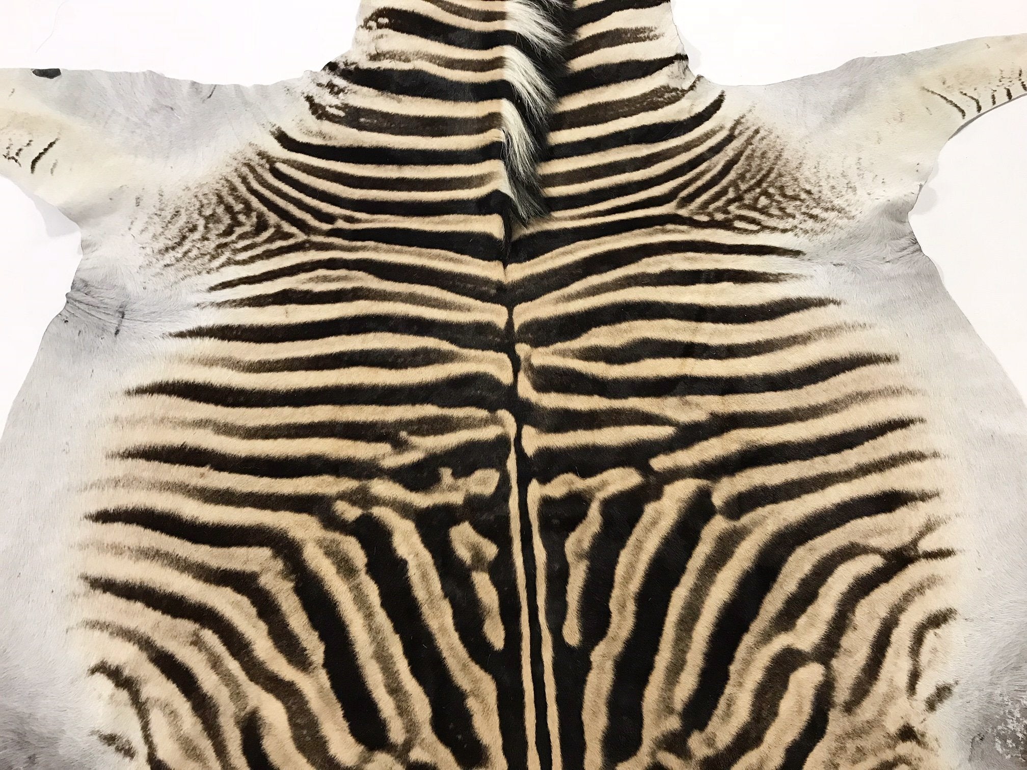 ZEBRA HIDE RUG - Harris