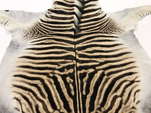 ZEBRA HIDE RUG - Harris