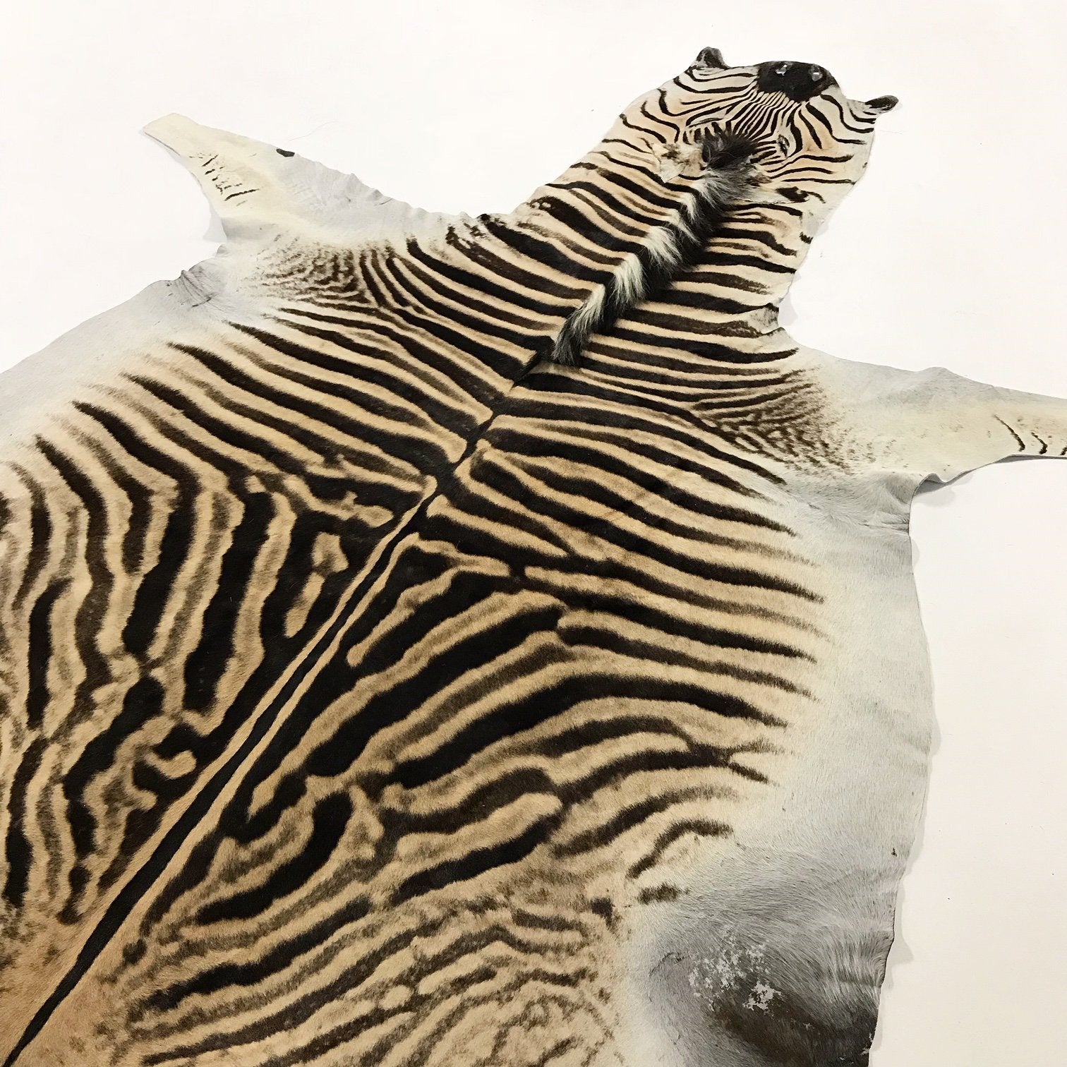 ZEBRA HIDE RUG - Harris