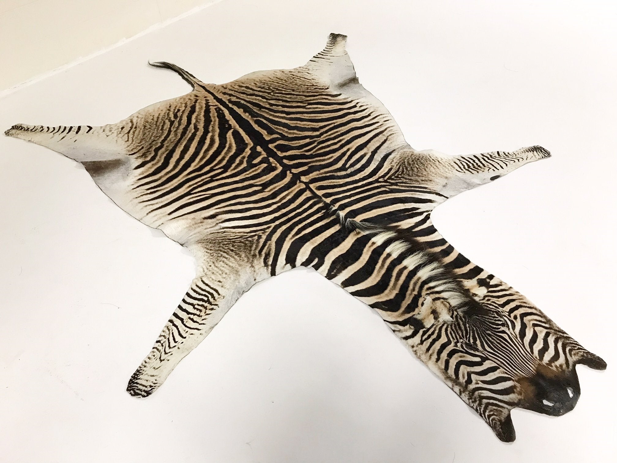 ZEBRA HIDE RUG - Hughes