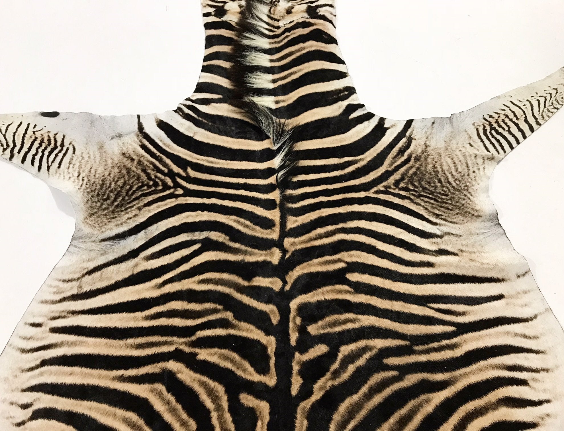 ZEBRA HIDE RUG - Hughes