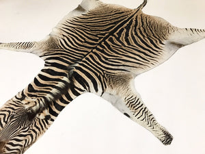 ZEBRA HIDE RUG - Hughes