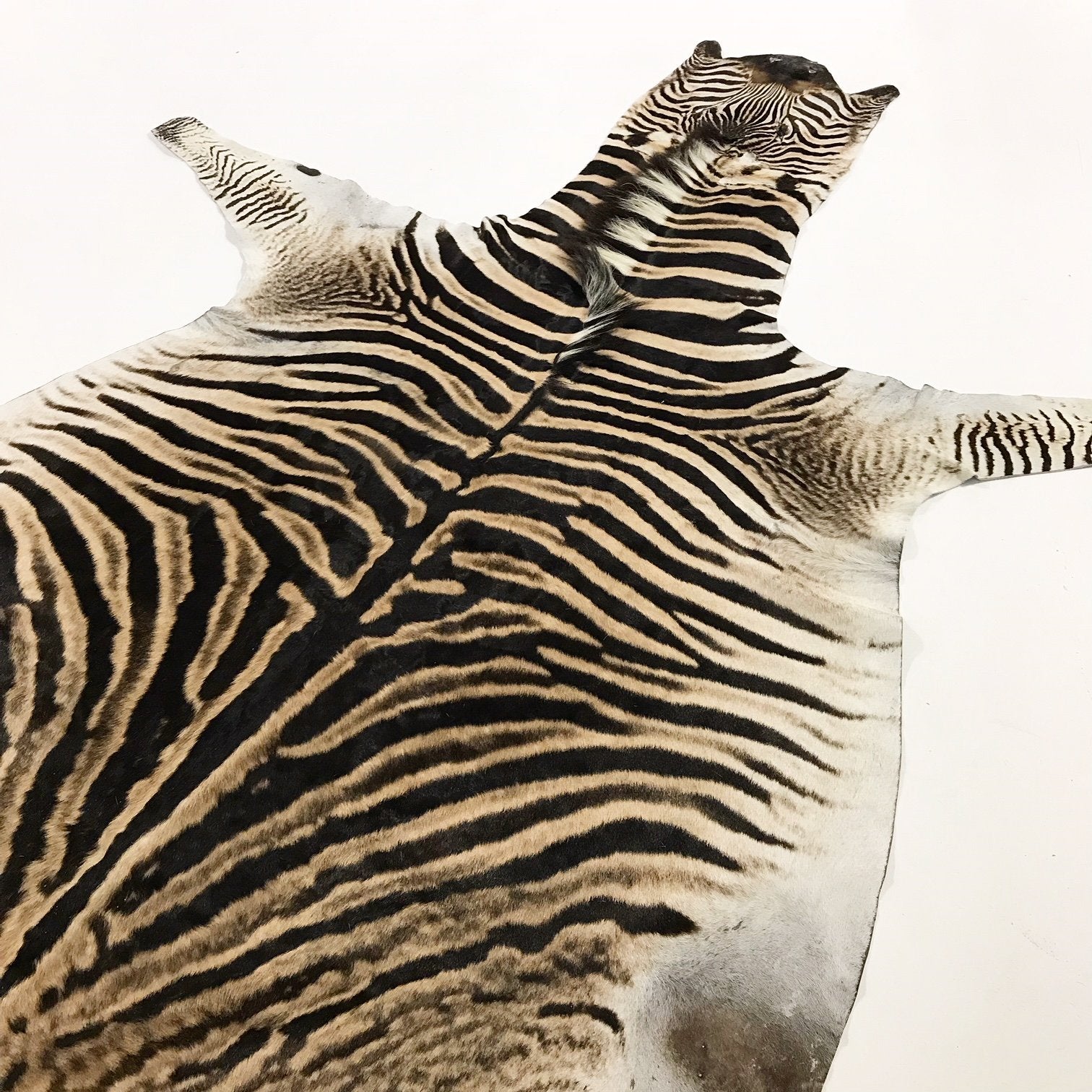 ZEBRA HIDE RUG - Hughes