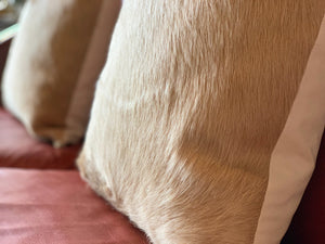 PALOMINO BRAZILIAN COWHIDE PILLOW 18"