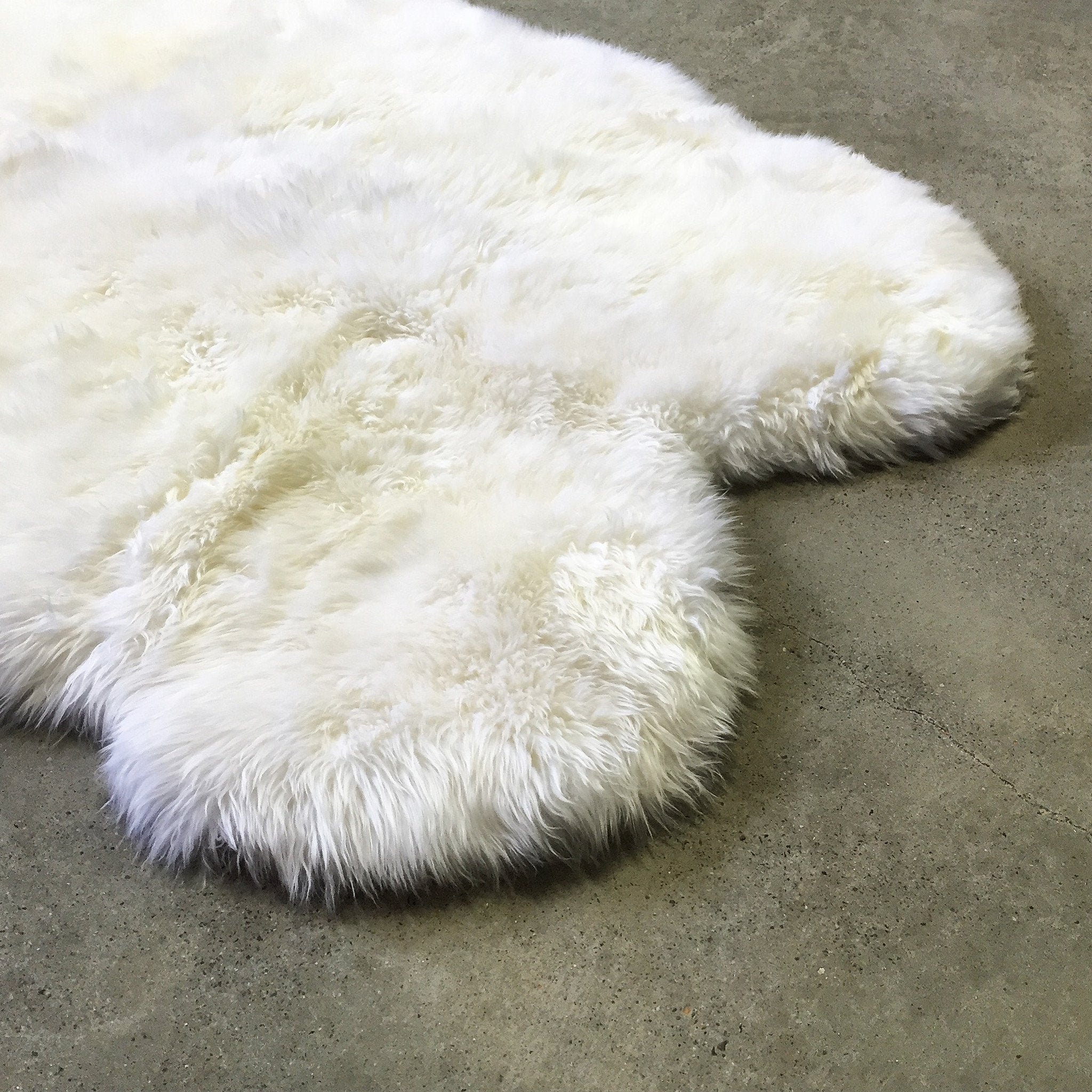 New Zealand Sheepskin Quad Rug - Ivory