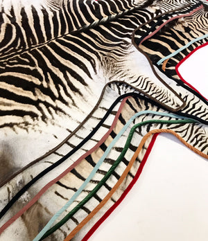 Zebra Hide Rug Trimmed in Black Velvet