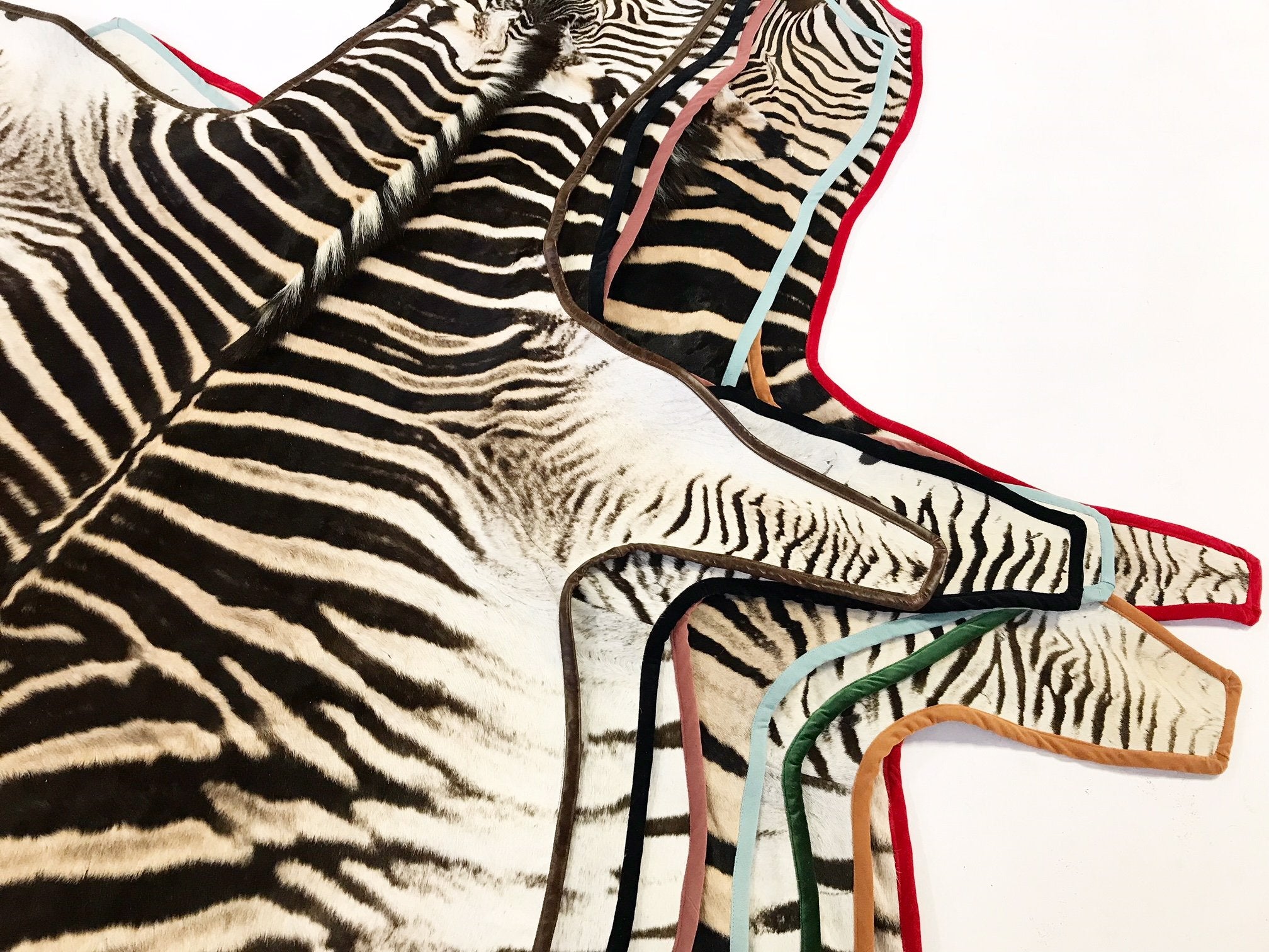 Zebra Hide Rug Trimmed in Schumacher's Emerald Green Silk Velvet