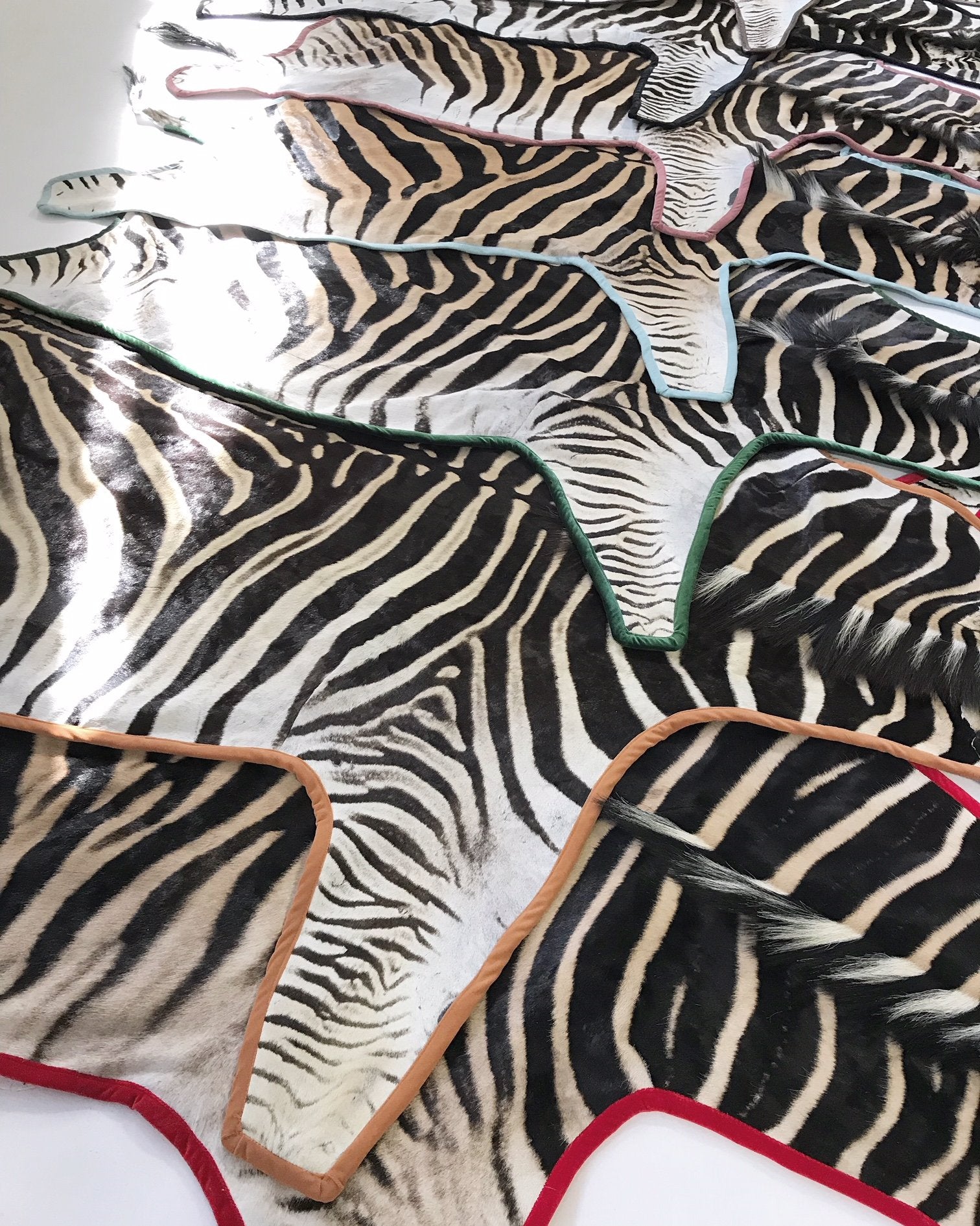 Zebra Hide Rug Trimmed in Schumacher's Emerald Green Silk Velvet