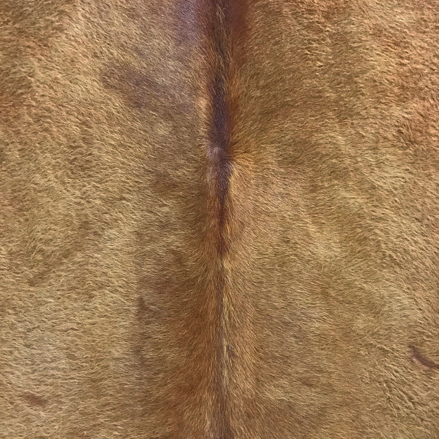HEREFORD COWHIDE RUG - VALLEY
