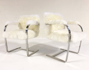 Mies Van Der Rohe Brno Chairs for Knoll in New Zealand Sheepskin