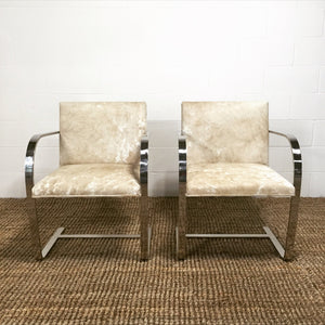 Mies Van Der Rohe Brno Chairs for Knoll in Brazilian Cowhide