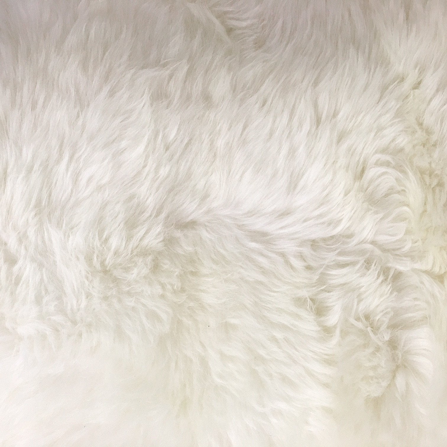Slipper Chair in New Zealand Sheepskin