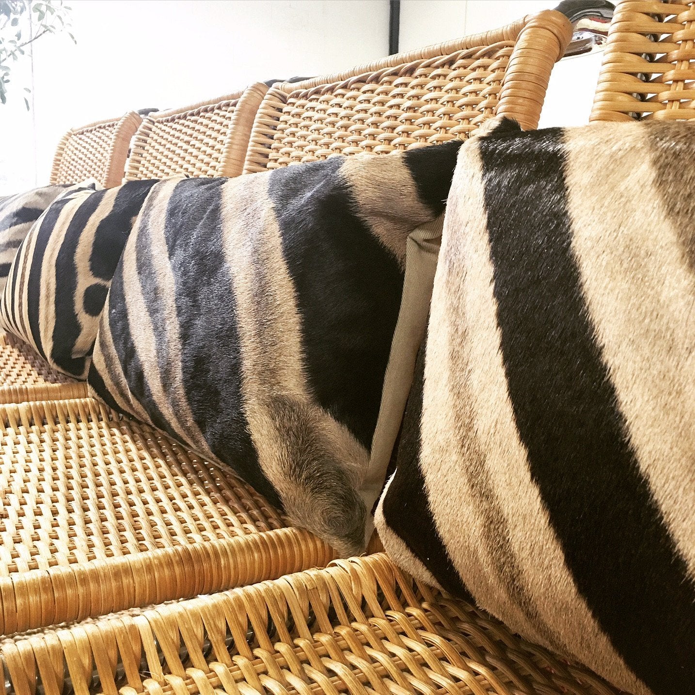 Set of Four MR 10 Side Chairs by Ludwig Mies van der Rohe for Knoll with Zebra Hide Pillows