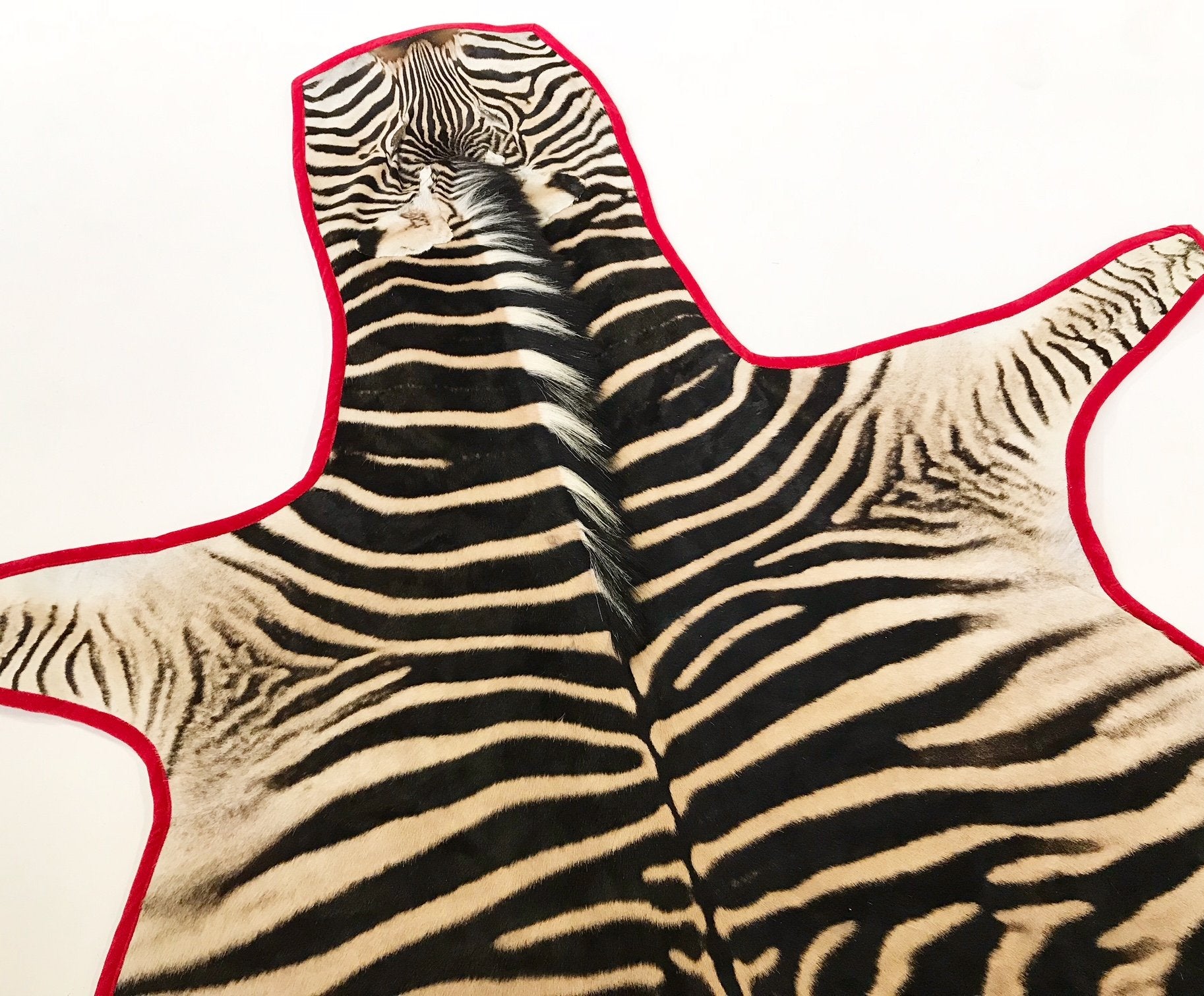 Zebra Hide Rug Trimmed in Red Velvet