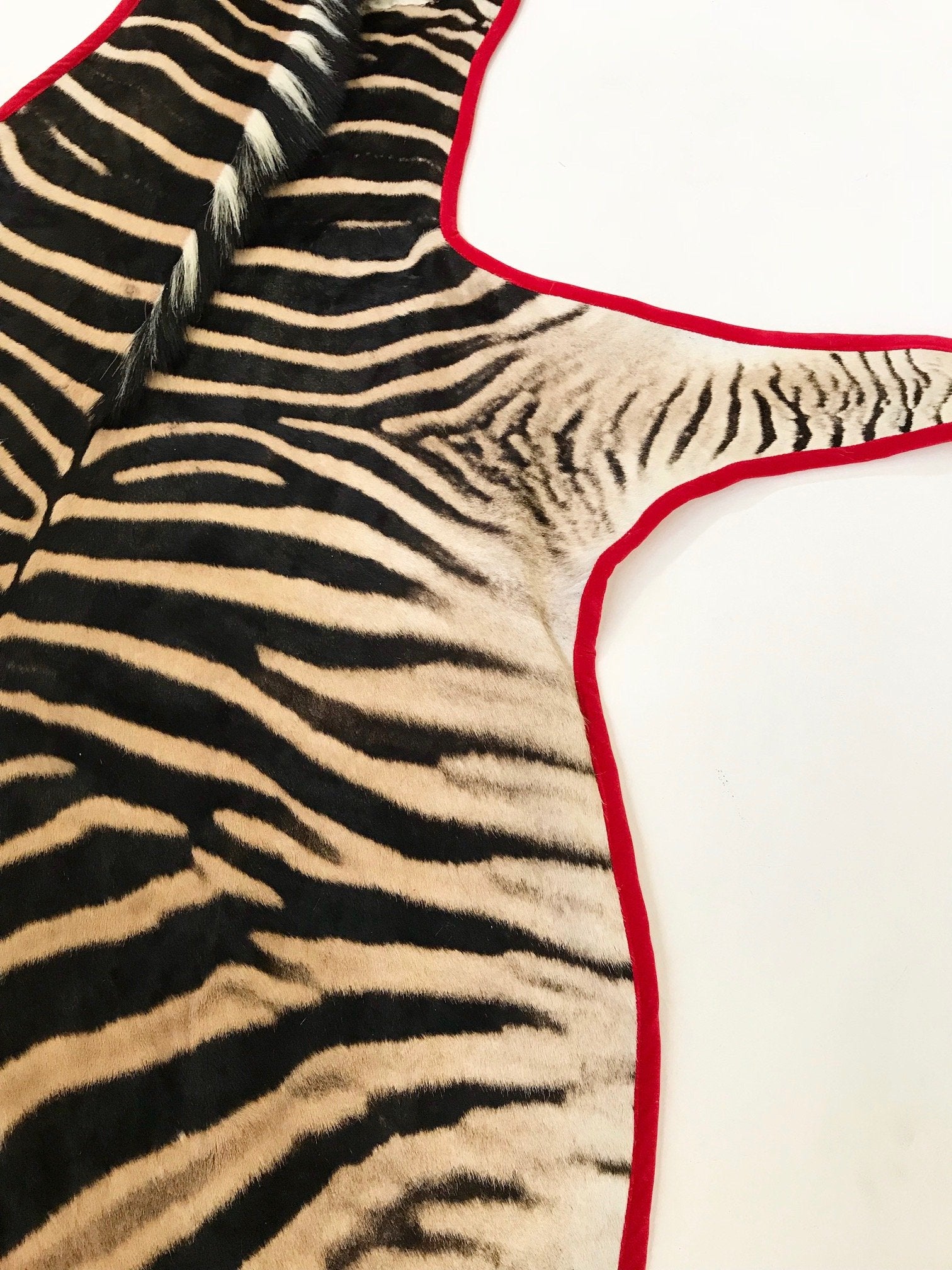 Zebra Hide Rug Trimmed in Red Velvet