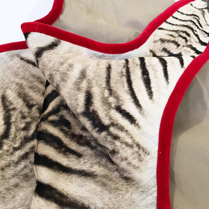 Zebra Hide Rug Trimmed in Red Velvet