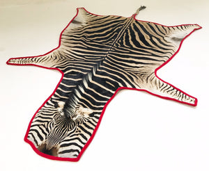 Zebra Hide Rug Trimmed in Red Velvet