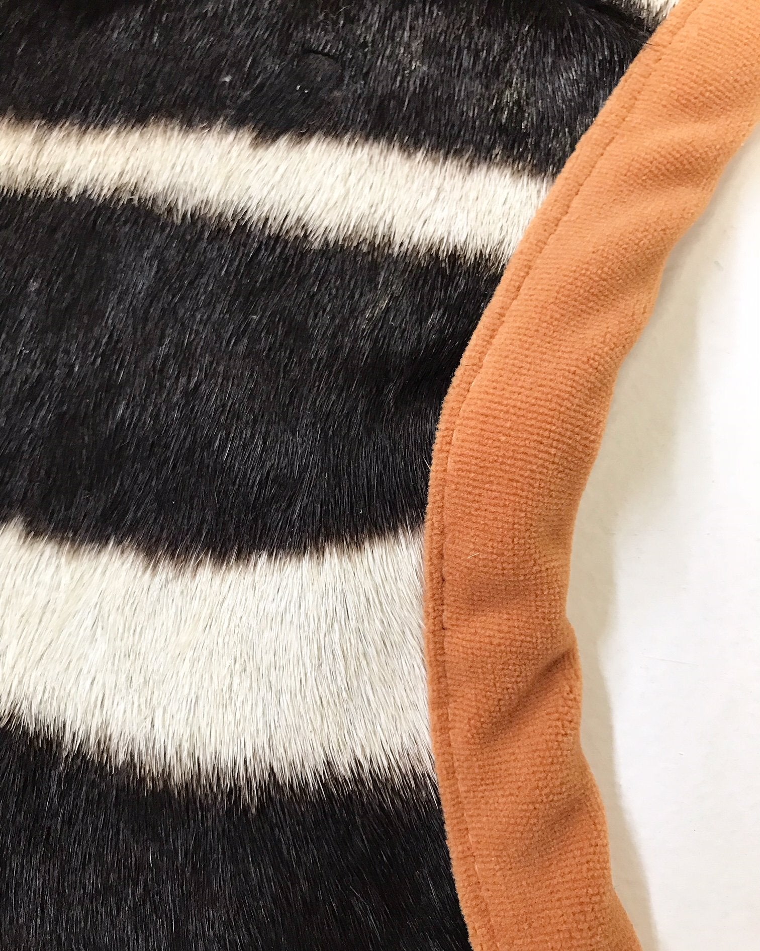 Zebra Hide Rug Trimmed in Burnt Orange Velvet