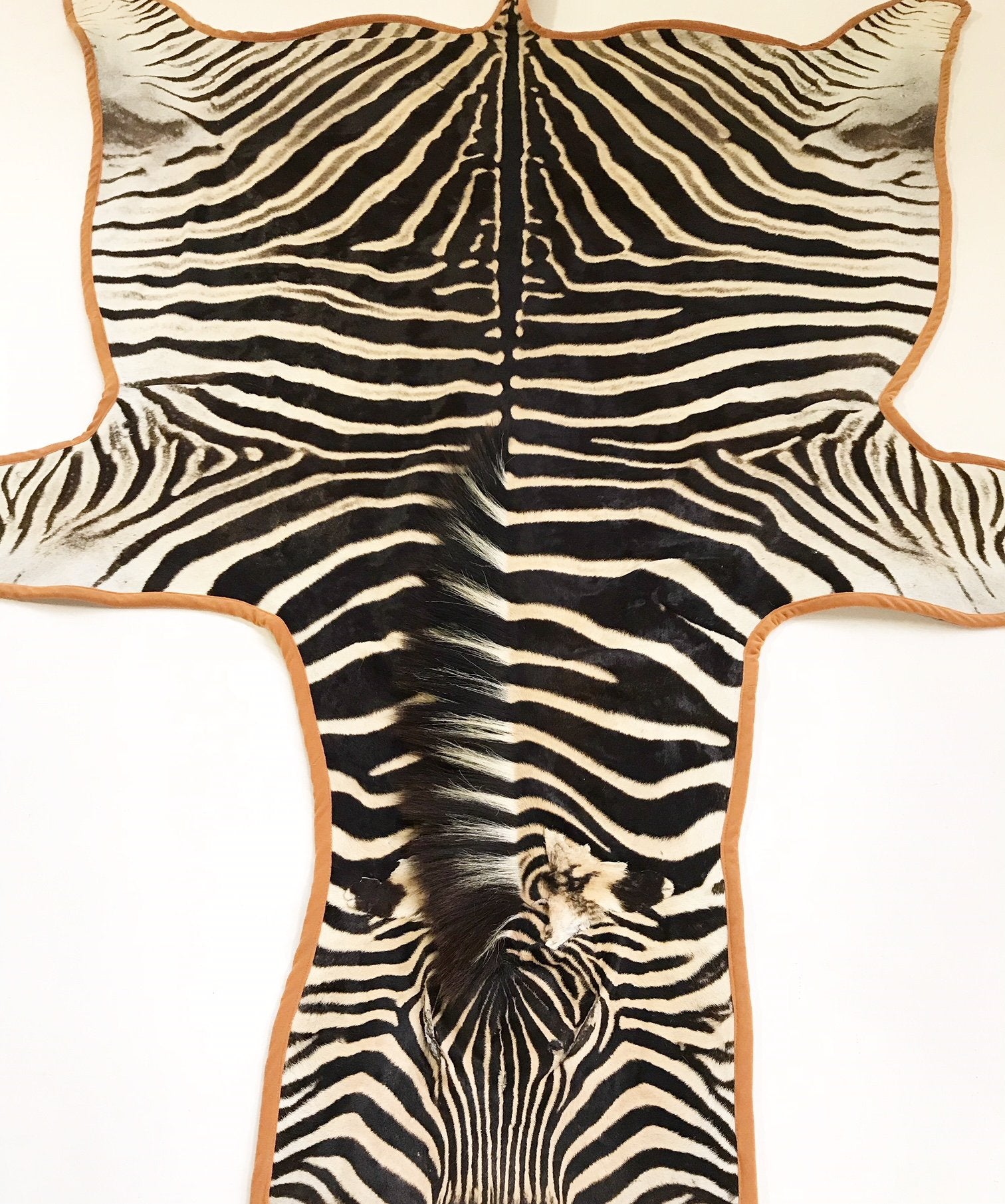 Zebra Hide Rug Trimmed in Burnt Orange Velvet
