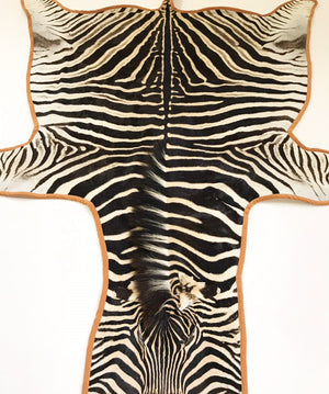 Zebra Hide Rug Trimmed in Burnt Orange Velvet