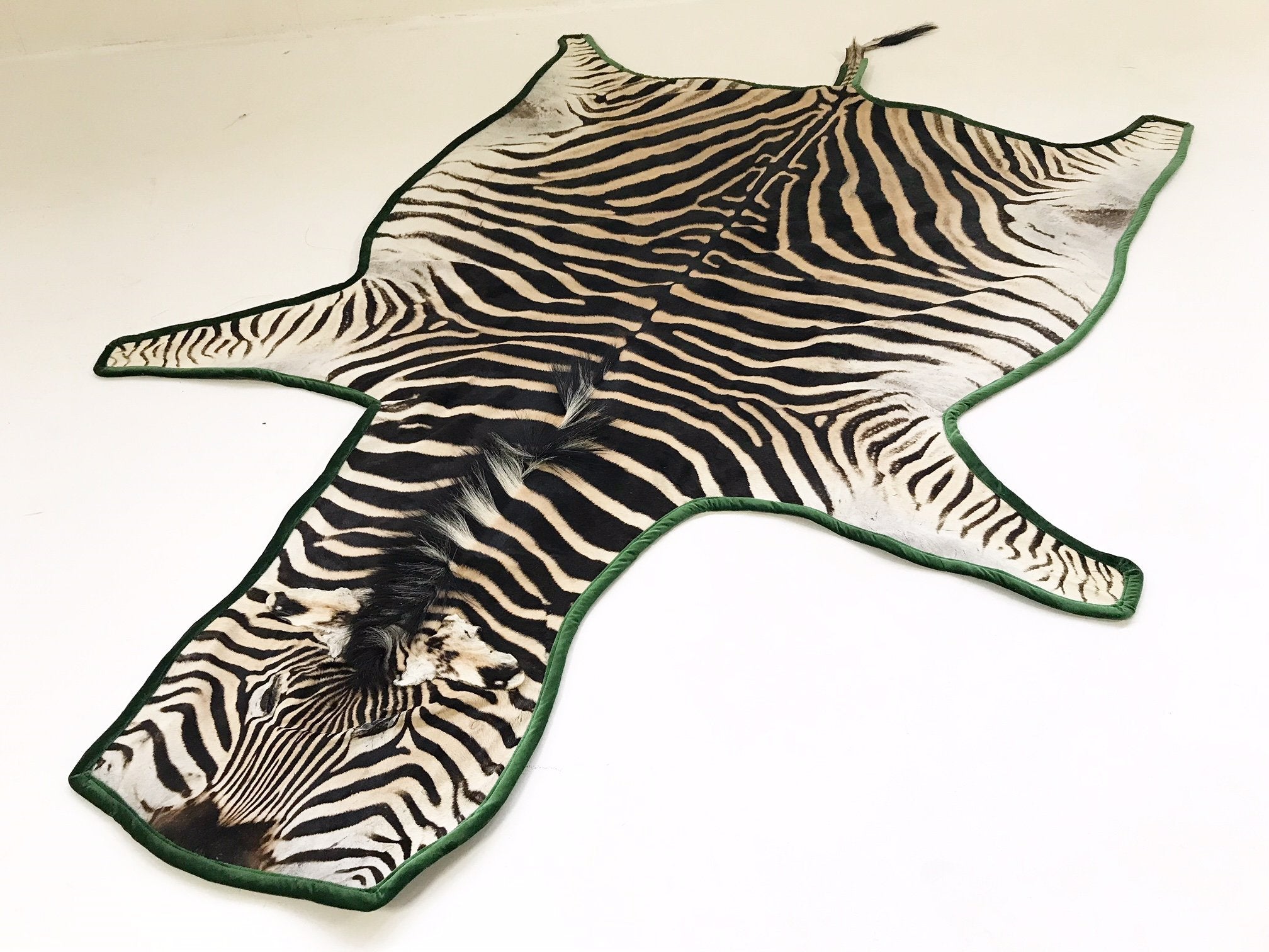 Zebra Hide Rug Trimmed in Schumacher's Emerald Green Silk Velvet