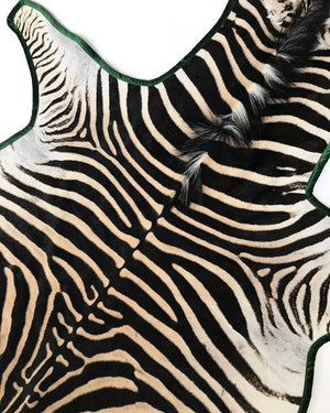 Zebra Hide Rug Trimmed in Schumacher's Emerald Green Silk Velvet