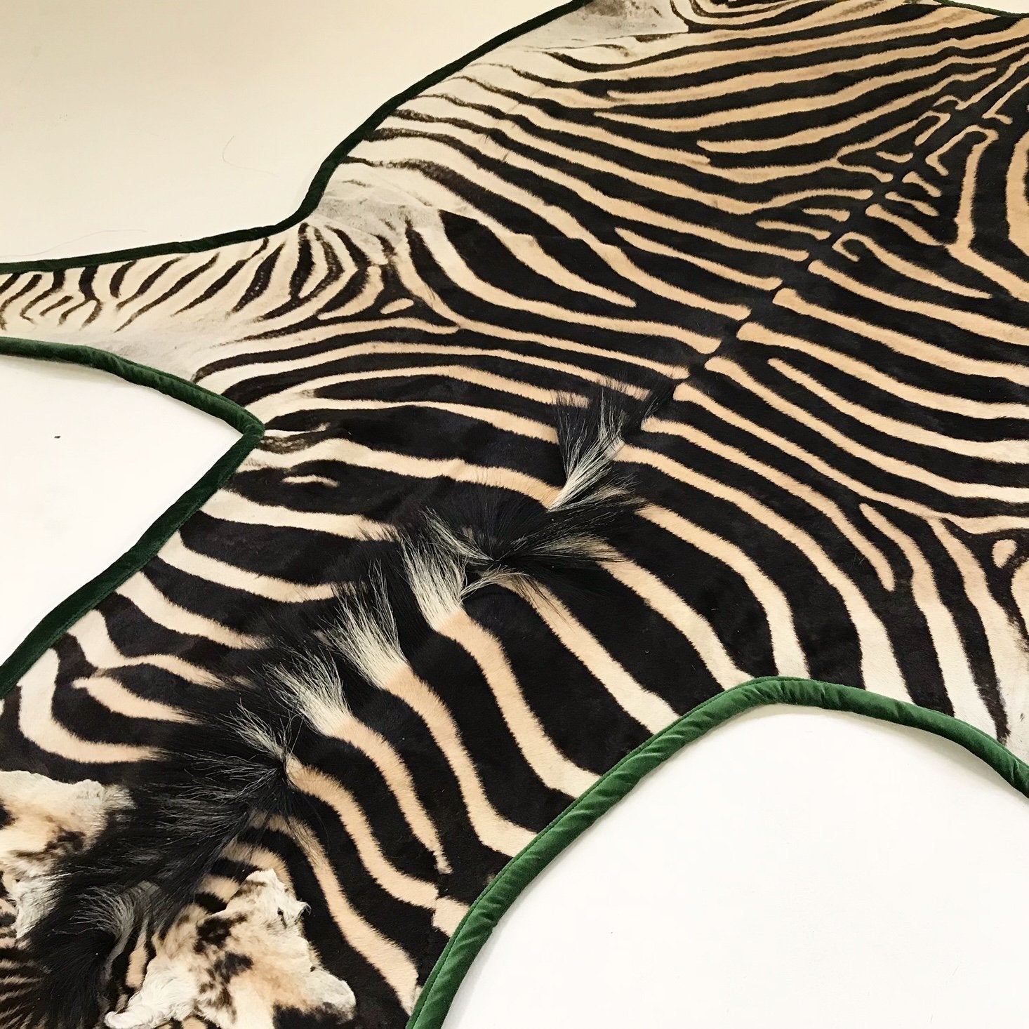 Zebra Hide Rug Trimmed in Schumacher's Emerald Green Silk Velvet
