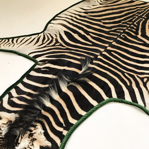 Zebra Hide Rug Trimmed in Schumacher's Emerald Green Silk Velvet
