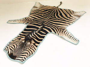 Zebra Hide Rug Trimmed in Blue Cotton Linen