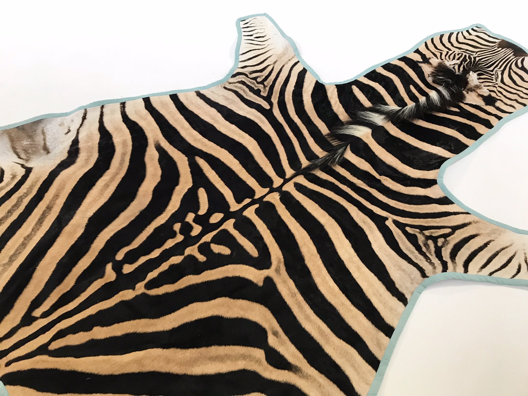 Zebra Hide Rug Trimmed in Blue Cotton Linen