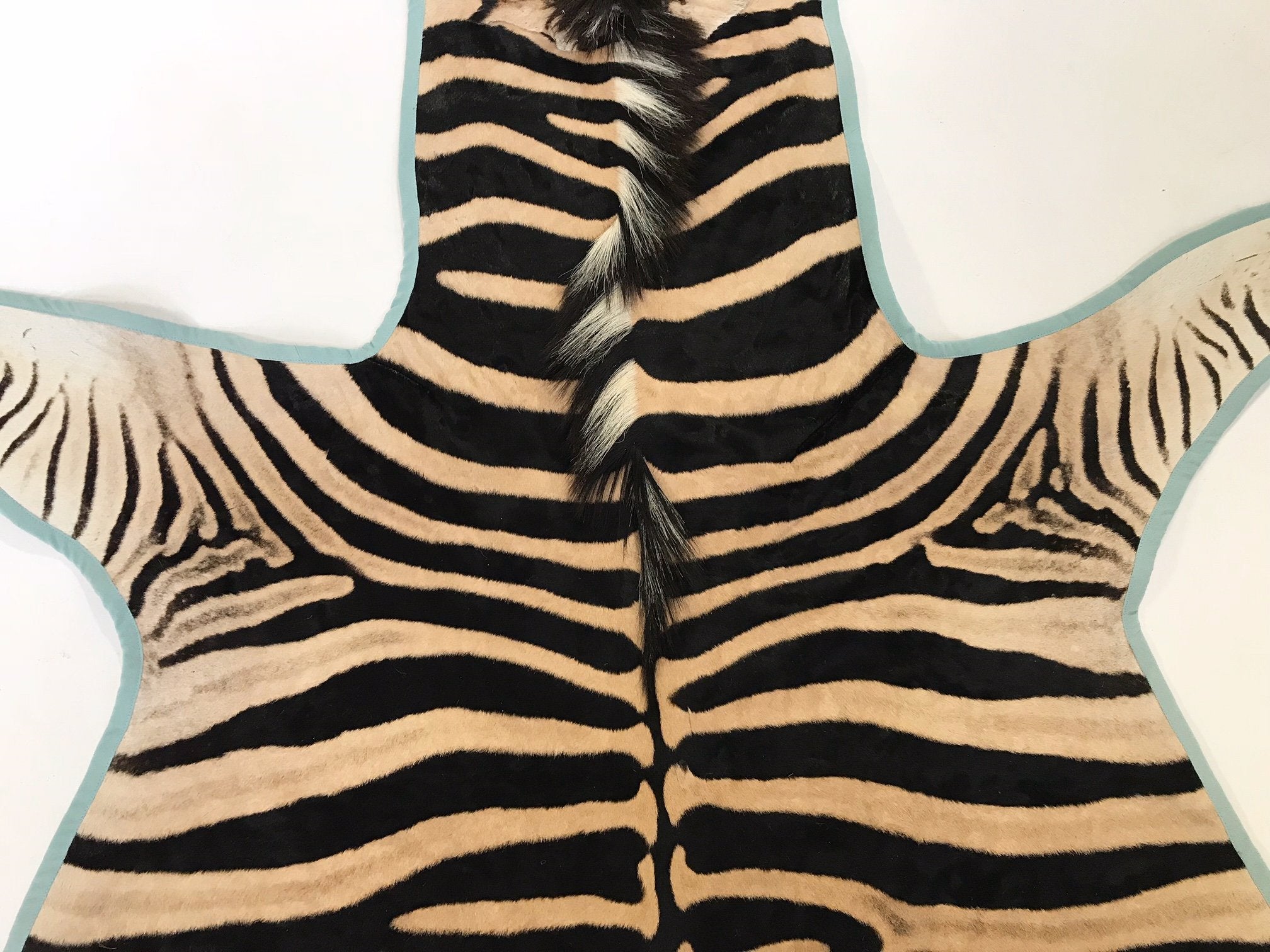 Zebra Hide Rug Trimmed in Blue Cotton Linen
