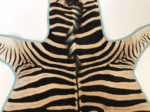 Zebra Hide Rug Trimmed in Blue Cotton Linen
