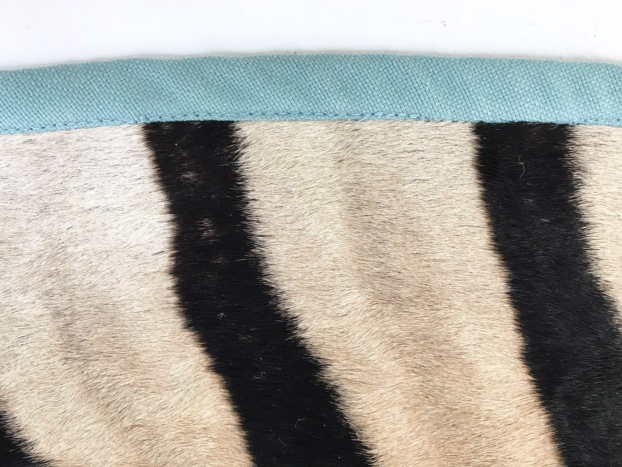 Zebra Hide Rug Trimmed in Blue Cotton Linen