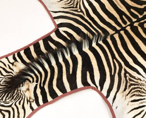 Zebra Hide Rug Trimmed in Blush Pink Velvet